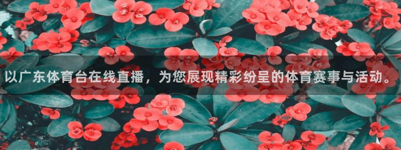 以广东体育台在线直播，为您展现精彩纷呈的体育赛事与活动。