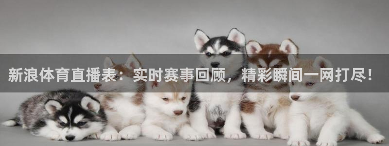 新浪体育直播表：实时赛事回顾，精彩瞬间一网打尽！