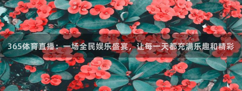 365体育直播：一场全民娱乐盛宴，让每一天都充满乐趣和精彩