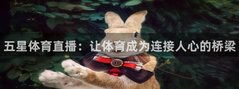 五星体育直播：让体育成为连接人心的桥梁