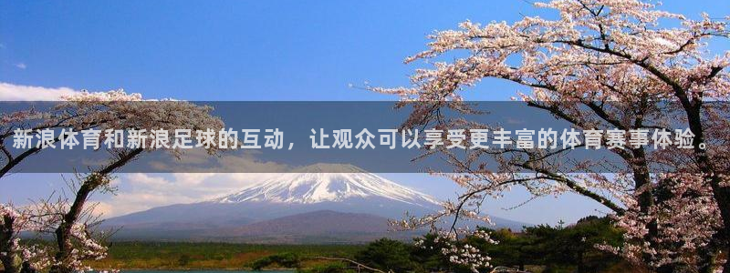 新浪体育和新浪足球的互动，让观众可以享受更丰富的体育赛事体验。