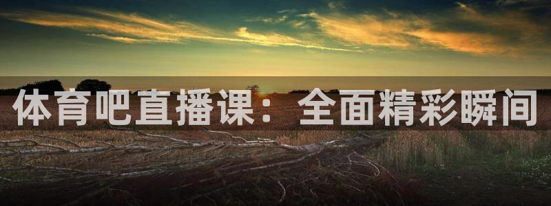体育吧直播课：全面精彩瞬间