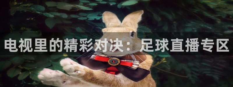 电视里的精彩对决：足球直播专区