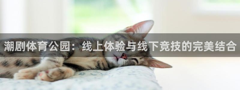潮剧体育公园：线上体验与线下竞技的完美结合