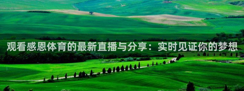 观看感恩体育的最新直播与分享：实时见证你的梦想