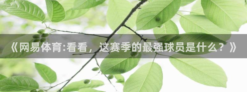 《网易体育:看看，这赛季的最强球员是什么？》