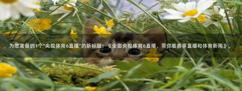 为您准备的1个\