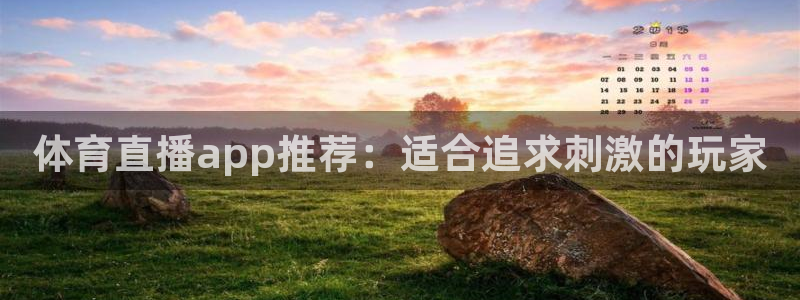 体育直播app推荐：适合追求刺激的玩家