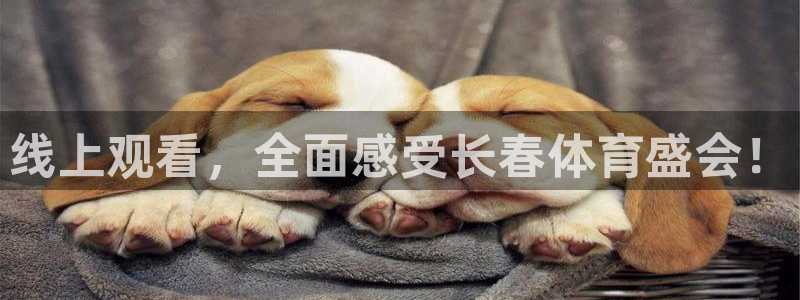 线上观看，全面感受长春体育盛会！