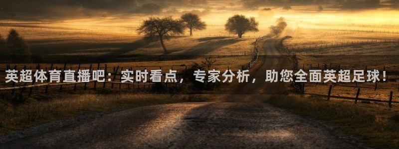 英超体育直播吧：实时看点，专家分析，助您全面英超足球！