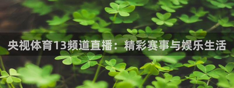 央视体育13频道直播：精彩赛事与娱乐生活
