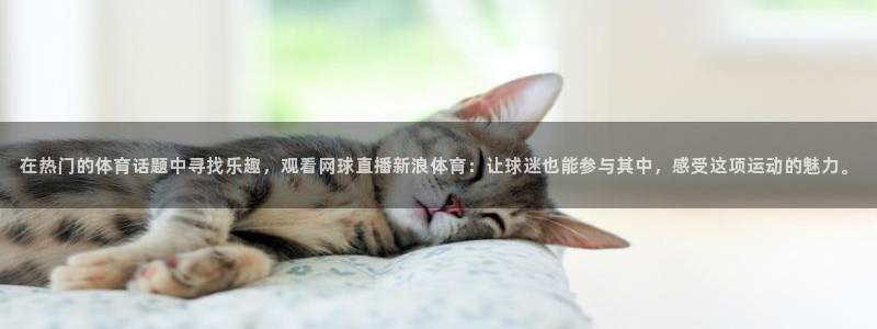 在热门的体育话题中寻找乐趣，观看网球直播新浪体育：让球迷也能参与其中，感受这项运动的魅力。