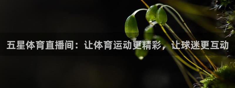 五星体育直播间：让体育运动更精彩，让球迷更互动